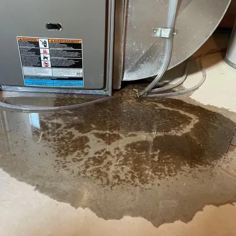 Appliance Leak Cleanup in Applewood, CO